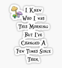 I knew who I was this morning Sticker