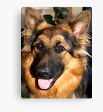 Magestic Canvas Print