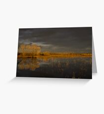 Golden Hour at the Bosque II Greeting Card