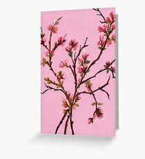 Cherry Blossoms from Amphai Greeting Card