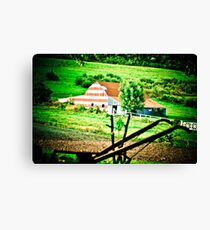 Americana 1 Canvas Print
