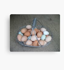 Eggs , Eggs , Eggs Canvas Print