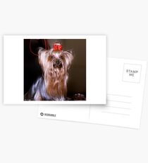 I’m a 10! Postcards