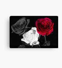 Black, While and Red Canvas Print