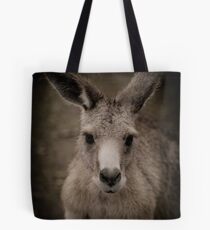 Tasmanian (or rufous bellied) pademelon Tote Bag