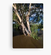 flood waters Canvas Print
