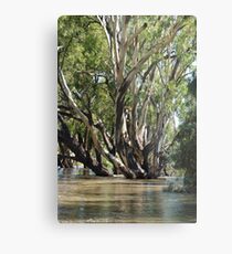 flood waters Metal Print
