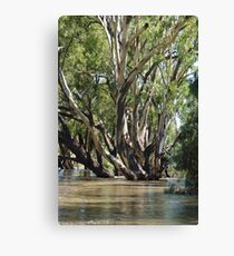flood waters Canvas Print