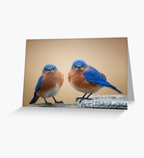 Grumpy Little Men Greeting Card