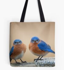 Grumpy Little Men Tote Bag
