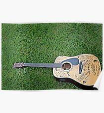 Póster Acoustic Guitar in Grass #1
