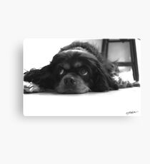 Jesse Canvas Print