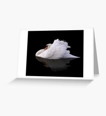 Swan Greeting Card