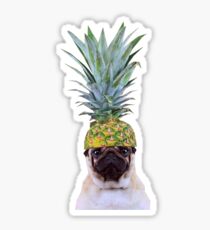 Pug Pineapple Sticker