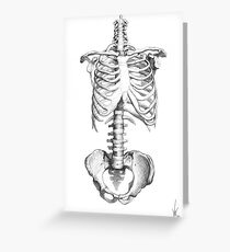 Partial Human Skeleton Greeting Card