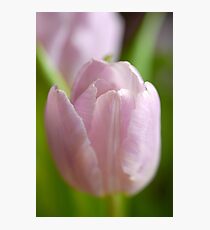 Dreams Photographic Print