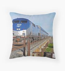 Amtrak: Gifts & Merchandise | Redbubble