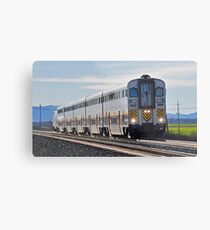 eastbound AMTRAK: same game Metal Print