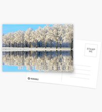 NATURES WINTER MIRROR Postcards