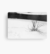 Desolate Canvas Print