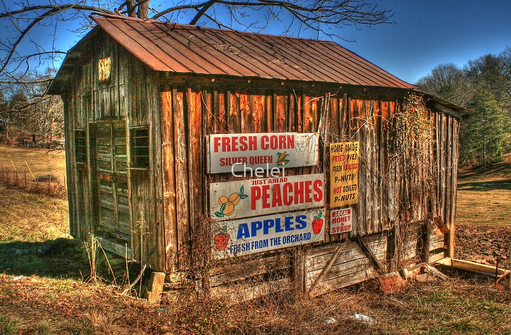 "Old Store going into Dahlonega, by Chelei Redbubble