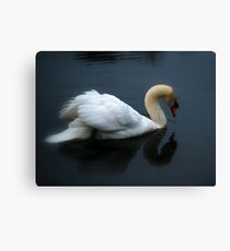 Swan on a Foggy Pond Canvas Print