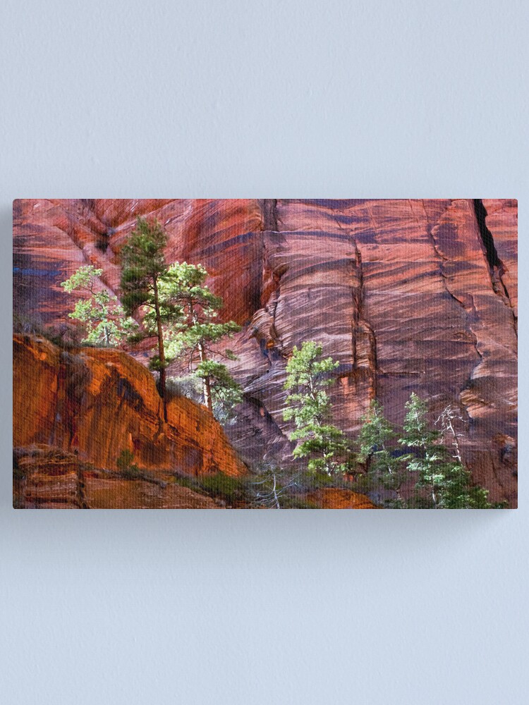 Alternate view of Test of Time Canvas Print