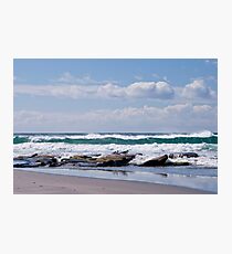 Gulls resting Photographic Print