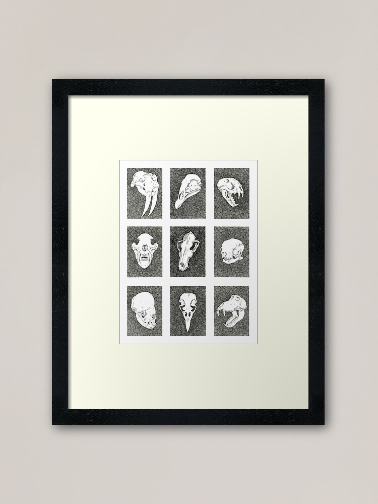 Alternate view of Animal Skulls | Ink Drawing Framed Art Print
