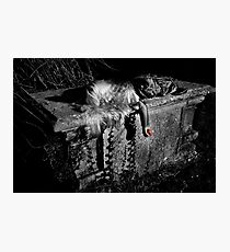 Snow White Photographic Print