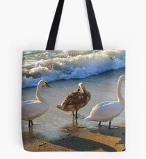 Family rest at coast Tote Bag