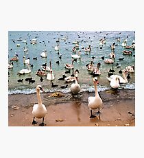 Sports marathon. Who faster? Photographic Print