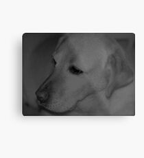 Lab Metal Print