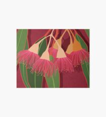 Pink Flowering Gum Art Board Print