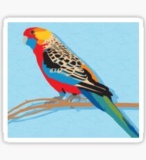 Rosella Bird Sticker