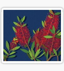 Red Bottlebrush Flowers Sticker