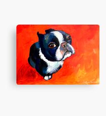 Boston Terrier dog #1 painting Svetlana Novikova Metal Print