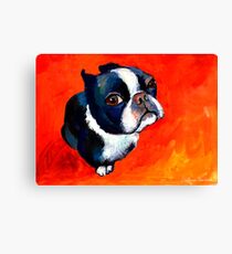 Boston Terrier dog #1 painting Svetlana Novikova Canvas Print