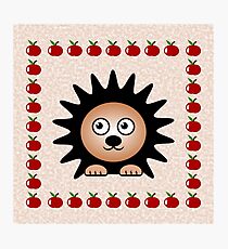 Little Cute Hedgehog Photographic Print