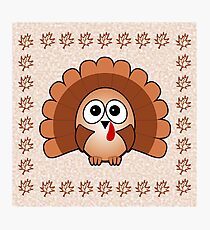 Little Cute Turkey Photographic Print