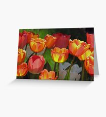 Tulipa Greeting Card