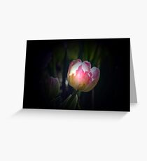Tulipa Greeting Card