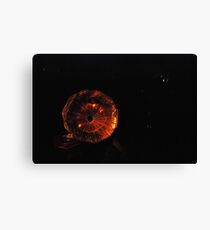 Gramophone Canvas Print