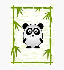 Little Cute Panda Photographic Print