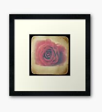 Love through the viewfinder Framed Print