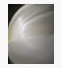 Translucent Photographic Print