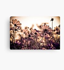 Dance with the wind...: EXPLORE Featured Work; Sold 3, Got 3 Featured Works Canvas Print