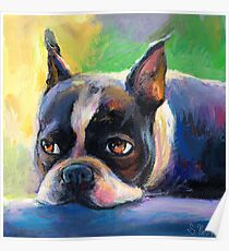 Boston Terrier pensive Dog painting Svetlana Novikova Poster