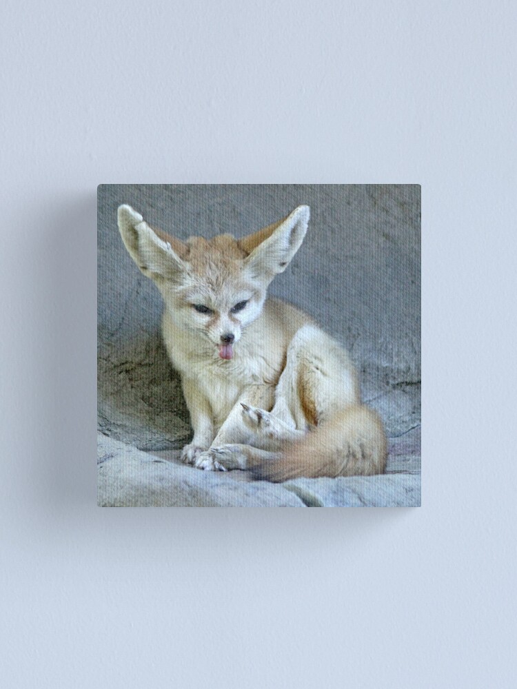 Alternate view of A lick of fox Canvas Print