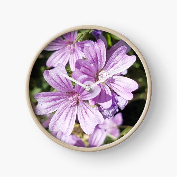 Mallow Clock